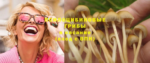 не бодяженный Верхний Тагил